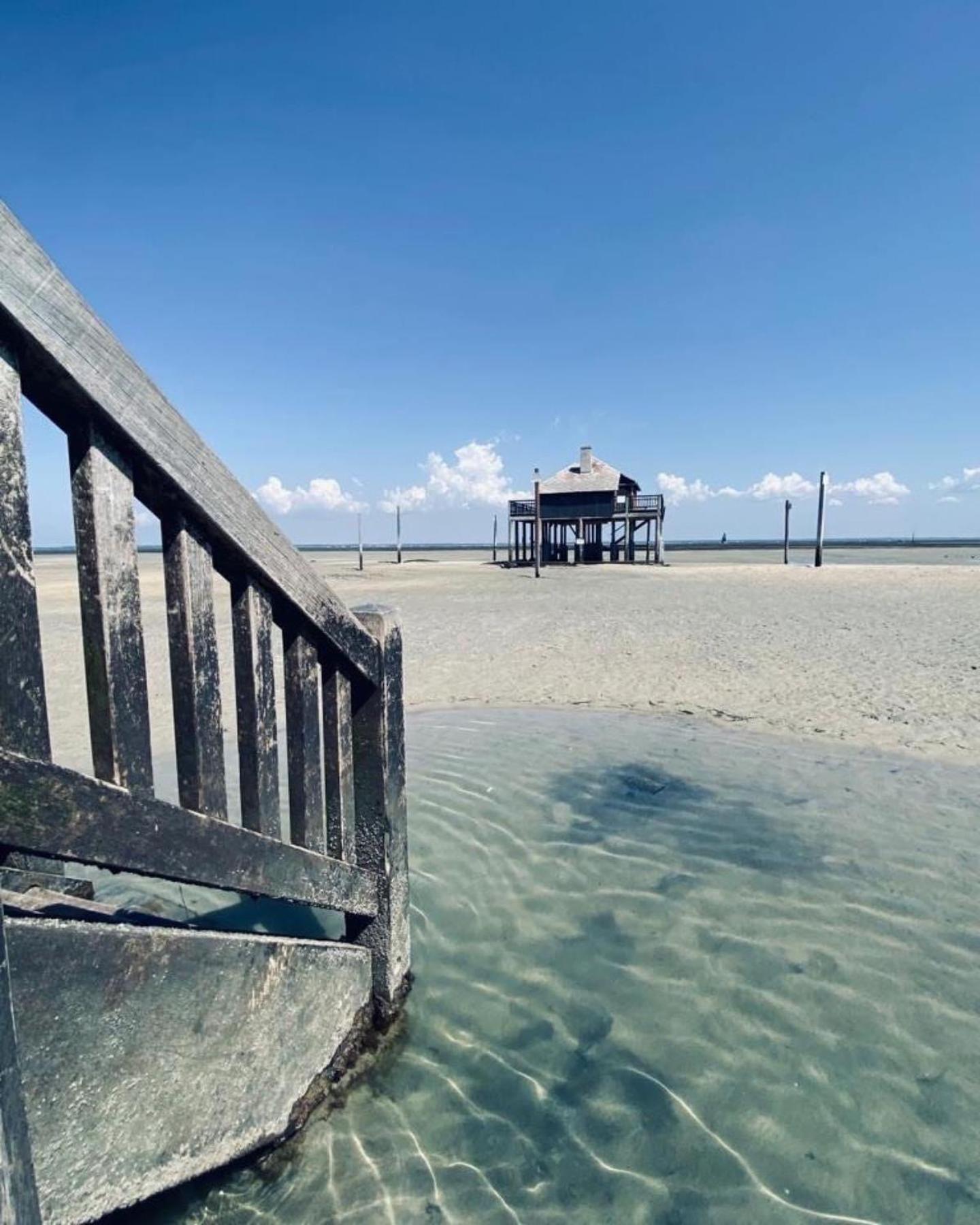 Cocon Entre Presqu'Ile Du Cap Ferret Et Plages Oceanes - Terrasse - 1 Velo Gratuit Арес Екстериор снимка